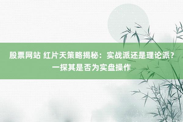 股票网站 红片天策略揭秘：实战派还是理论派？一探其是否为实盘操作