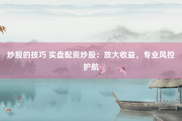 炒股的技巧 实盘配资炒股：放大收益，专业风控护航