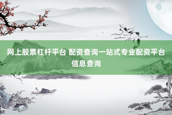 网上股票杠杆平台 配资查询一站式专业配资平台信息查询