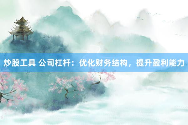 炒股工具 公司杠杆：优化财务结构，提升盈利能力