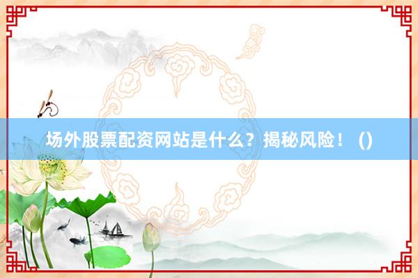 场外股票配资网站是什么？揭秘风险！ ()