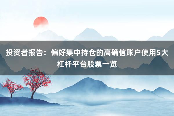 投资者报告：偏好集中持仓的高确信账户使用5大杠杆平台股票一览