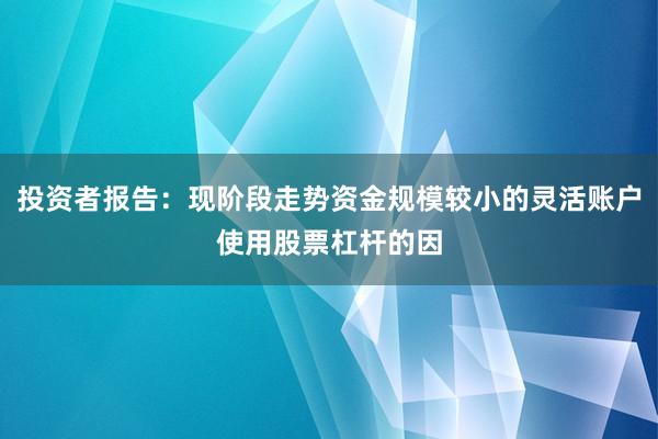 投资者报告：现阶段走势资金规模较小的灵活账户使用股票杠杆的因
