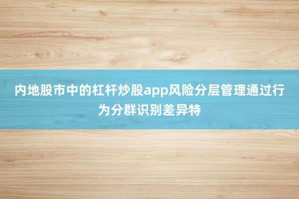 内地股市中的杠杆炒股app风险分层管理通过行为分群识别差异特