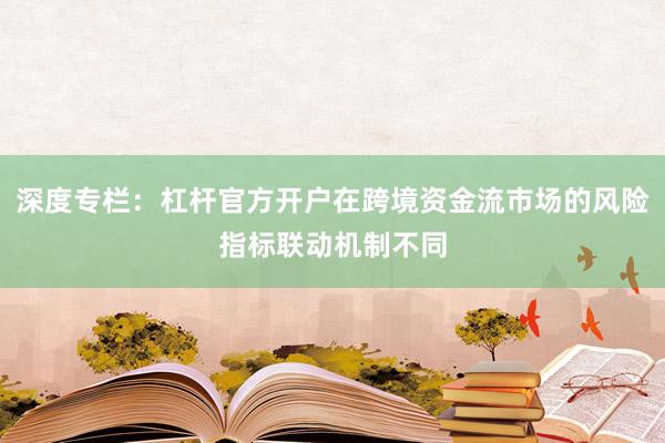 深度专栏：杠杆官方开户在跨境资金流市场的风险指标联动机制不同