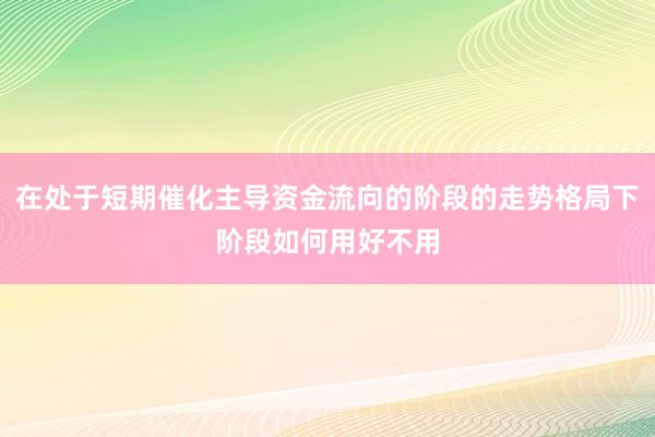 在处于短期催化主导资金流向的阶段的走势格局下阶段如何用好不用