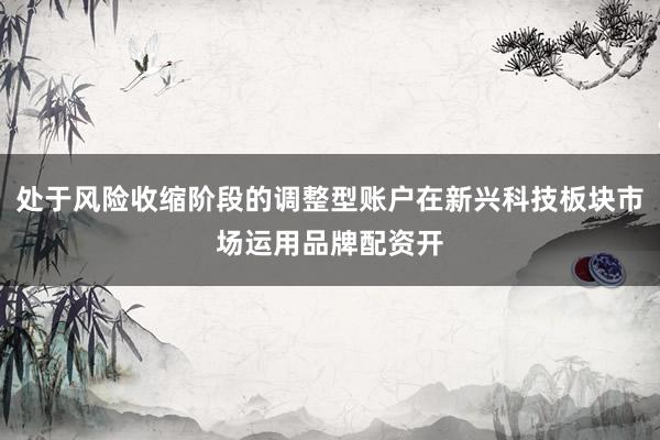 处于风险收缩阶段的调整型账户在新兴科技板块市场运用品牌配资开