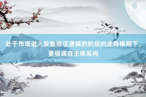 处于市场进入反复验证逻辑的阶段的走势格局下，更强调自主体系构