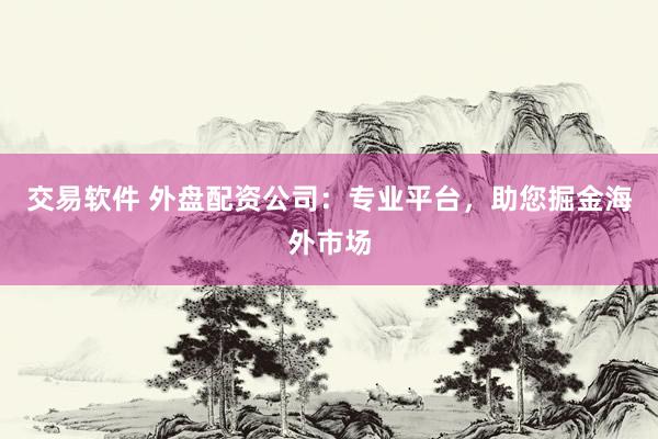交易软件 外盘配资公司：专业平台，助您掘金海外市场