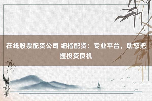 在线股票配资公司 细楷配资:专业平台,助您把握投资良机