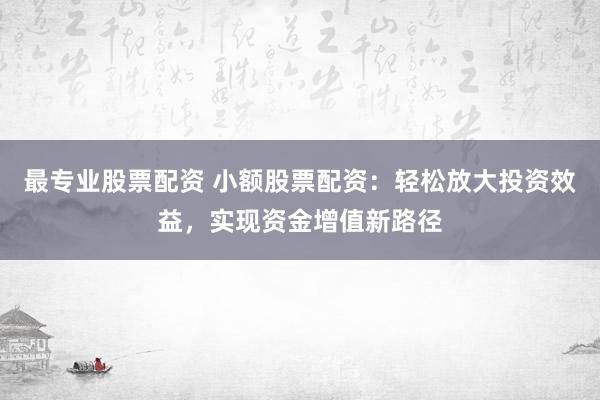 最专业股票配资 小额股票配资：轻松放大投资效益，实现资金增值新路径